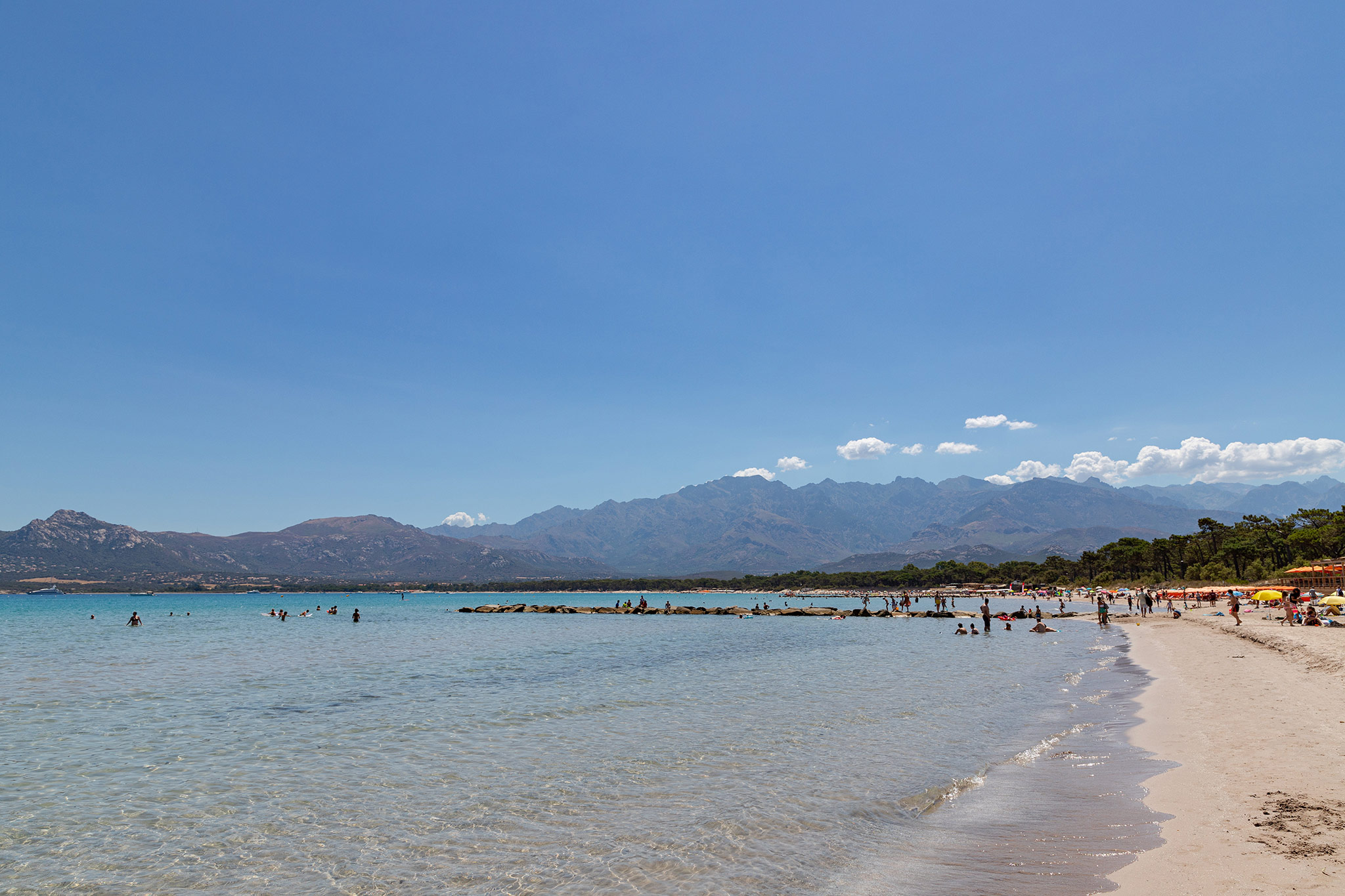 Calvi